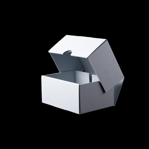 FSC Magazine box 1/16 G (FSCMIX CREDIT)