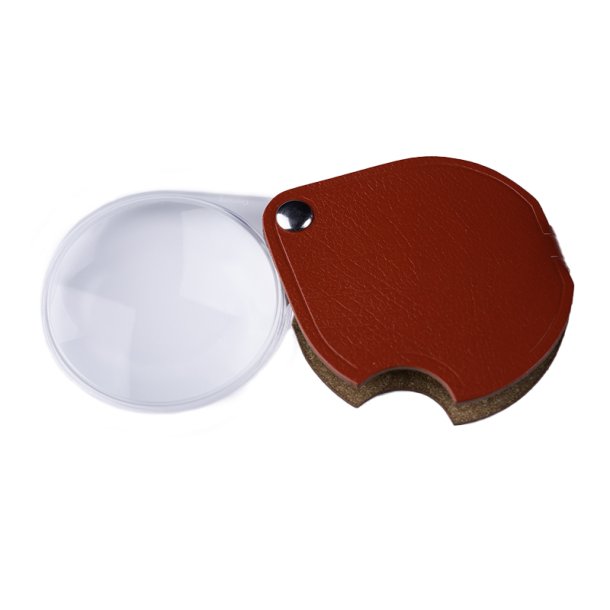 Lup Economic 10D (rd)