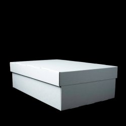 Magazine box 1/2 G w / loose lid acid-free (ISO 16245 A)