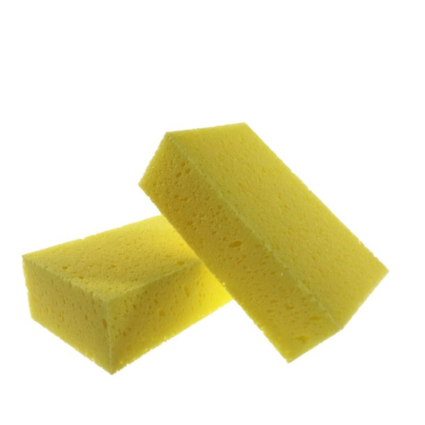 Skjold svampe 1 stk.