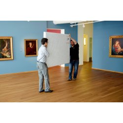 Tyvek 1623E - 152,4 cm. x 50 m.